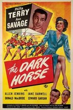 Watch The Dark Horse 1channel