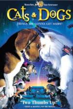 Watch Cats & Dogs 1channel