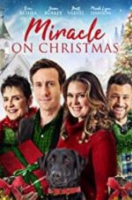 Watch Miracle on Christmas 1channel