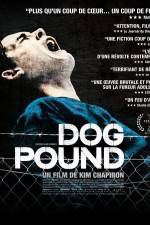 Watch Dog Pound 1channel