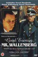 Watch Good Evening, Mr. Wallenberg 1channel