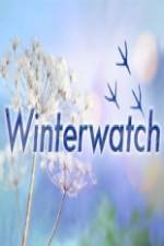 Watch Winterwatch 1channel