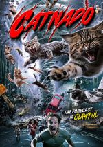 Watch Catnado 1channel