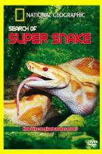 Watch National Geographic Search For The Super Snake 1channel