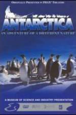 Watch Antarctica 1channel