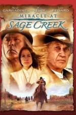 Watch Miracle at Sage Creek 1channel