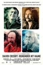 Watch David Crosby: Remember My Name 1channel