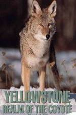 Watch Yellowstone: Realm of the Coyote 1channel
