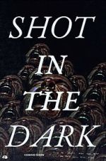 Watch Shot in the Dark 1channel