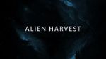 Watch Alien Harvest 1channel