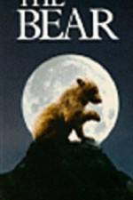 Watch The Bear - (L'ours) 1channel