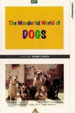 Watch The Wonderful World of Dogs 1channel