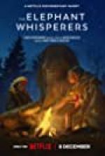 Watch The Elephant Whisperers 1channel