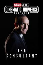 Watch Marvel One-Shot: The Consultant 1channel