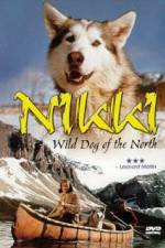 Watch Nikki Wild Dog of the North 1channel