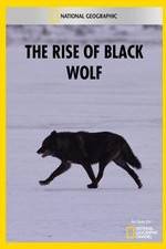 Watch The Rise of Black Wolf 1channel