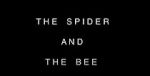 Watch The Spider and the Bee 1channel