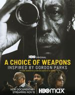 Watch A Choice of Weapons: Inspired by Gordon Parks 1channel