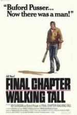 Watch Final Chapter Walking Tall 1channel