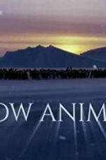 Watch Snow Animals 1channel