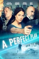 Watch A Perfect Plan 1channel