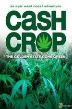 Watch Cash Crop 1channel