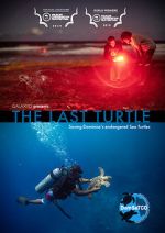 Watch The Last Turtle (Short 2019) 1channel