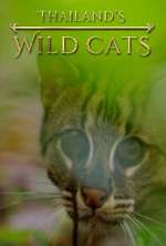 Watch Thailand's Wild Cats 1channel