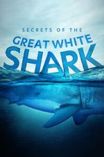 Watch Secrets of the Great White Shark 1channel