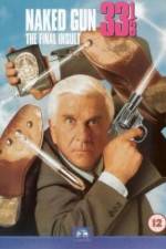 Watch Naked Gun 33 1/3: The Final Insult 1channel