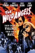 Watch The Wild Angels 1channel