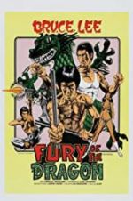 Watch Fury of the Dragon 1channel