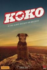 Watch Koko: A Red Dog Story 1channel