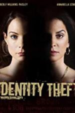 Watch Identity Theft 1channel