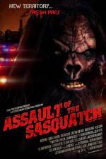 Watch Sasquatch Assault 1channel