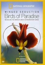 Watch Winged Seduction: Birds of Paradise 1channel