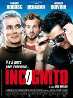 Watch Incognito 1channel