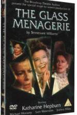 Watch The Glass Menagerie 1channel