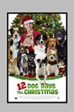 Watch 12 Dog Days Till Christmas 1channel