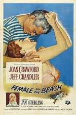Watch Female on the Beach 1channel