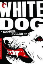 Watch White Dog 1channel