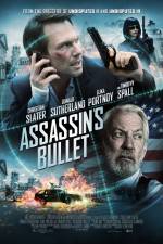 Watch Assassin's Bullet 1channel
