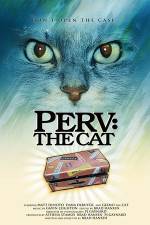 Watch Perv The Cat 1channel
