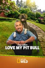 Watch Cesar Millan: Love My Pit Bull 1channel