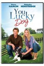 Watch You Lucky Dog 1channel