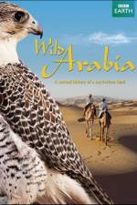 Watch Wild Arabia 1channel