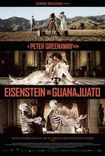 Watch Eisenstein in Guanajuato 1channel