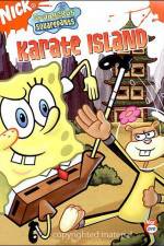 Watch SpongeBob SquarePants Whale of a BirthdayKarate Island 1channel