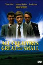 Watch All Creatures Great and Small 1channel