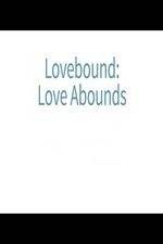 Watch Lovebound: Love Abounds 1channel